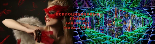 стаф Новозыбков