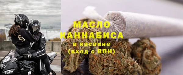 стаф Новозыбков