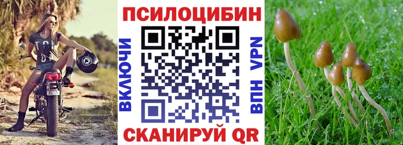 Галлюциногенные грибы Psilocybine cubensis  Петров Вал 